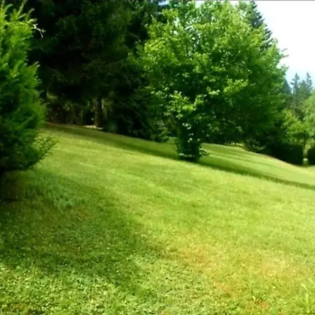 Urlaub Auf 1.000 Meter Hoehe Mit Pool Und Sauna Schoenwald im Schwarzwald Exterior photo