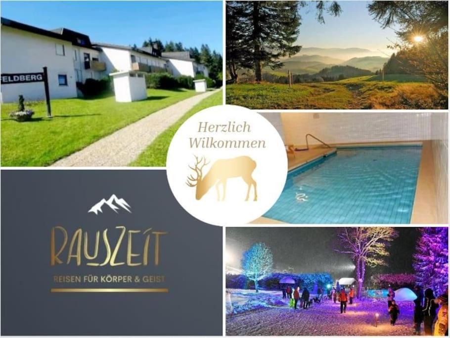 Urlaub Auf 1.000 Meter Hoehe Mit Pool Und Sauna