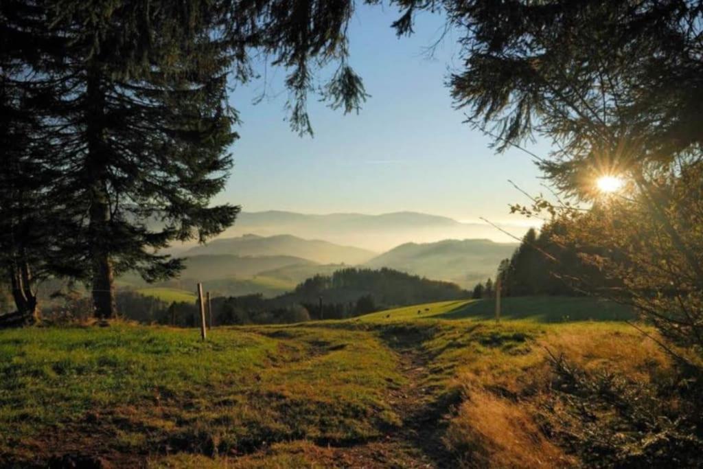 Apartment Urlaub Auf 1.000 Meter Hoehe Mit Pool Und Sauna