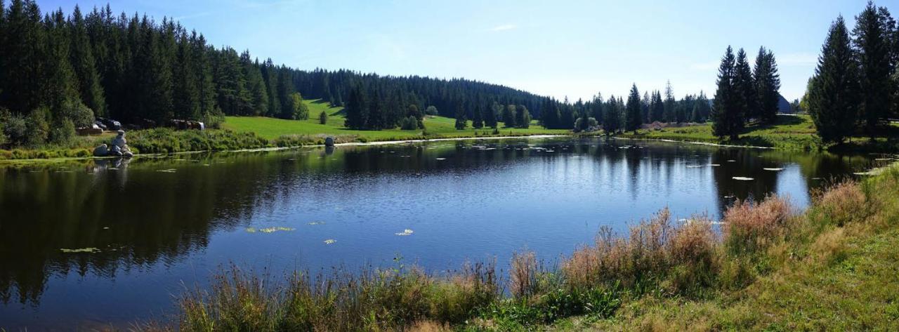 Urlaub Auf 1.000 Meter Hoehe Mit Pool Und Sauna Schoenwald im Schwarzwald