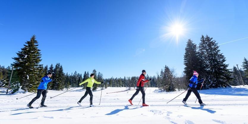 Urlaub Auf 1.000 Meter Hoehe Mit Pool Und Sauna Apartment Schoenwald im Schwarzwald