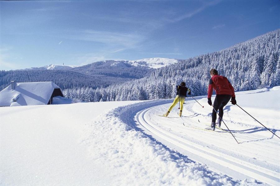 Urlaub Auf 1.000 Meter Hoehe Mit Pool Und Sauna Apartment