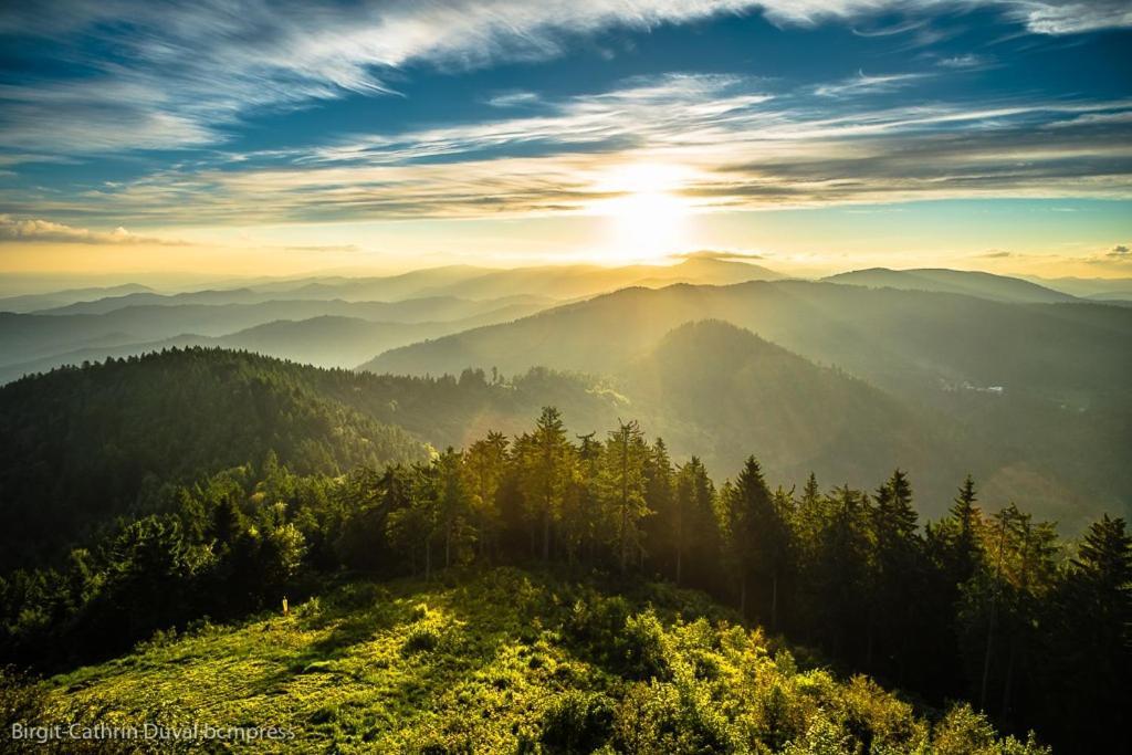 Apartment Urlaub Auf 1.000 Meter Hoehe Mit Pool Und Sauna Schoenwald im Schwarzwald